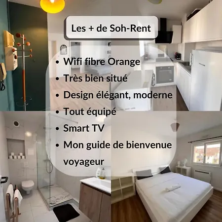 Soh Rent Neudorf Menagerie Tv - Wifi Apartment Strasbourg