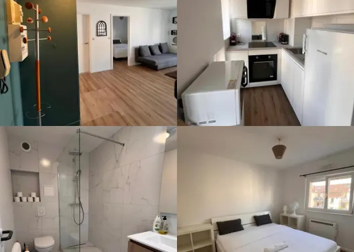 Soh Rent Neudorf Ménagerie Tv - Wifi Estrasburgo